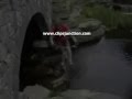 AwesomeBikeTricks
