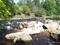 Click here to watch this video Where the Greta meets the Tees