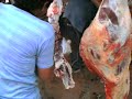 churrasco Cana Brava do Norte MT