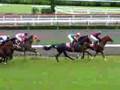 2008年5月31日　第44回金鯱賞（ＧⅡ）②レース映像
