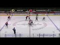 Shawn Thornton fights Donald Brashear