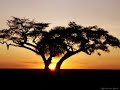 Afrikaner- Ivory (Africa Goes To Europe Mix) Afrikaner- Ivory (Africa Goes To Europe Mix)