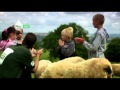 Yeo Valley - Reasons To Be Cheerful