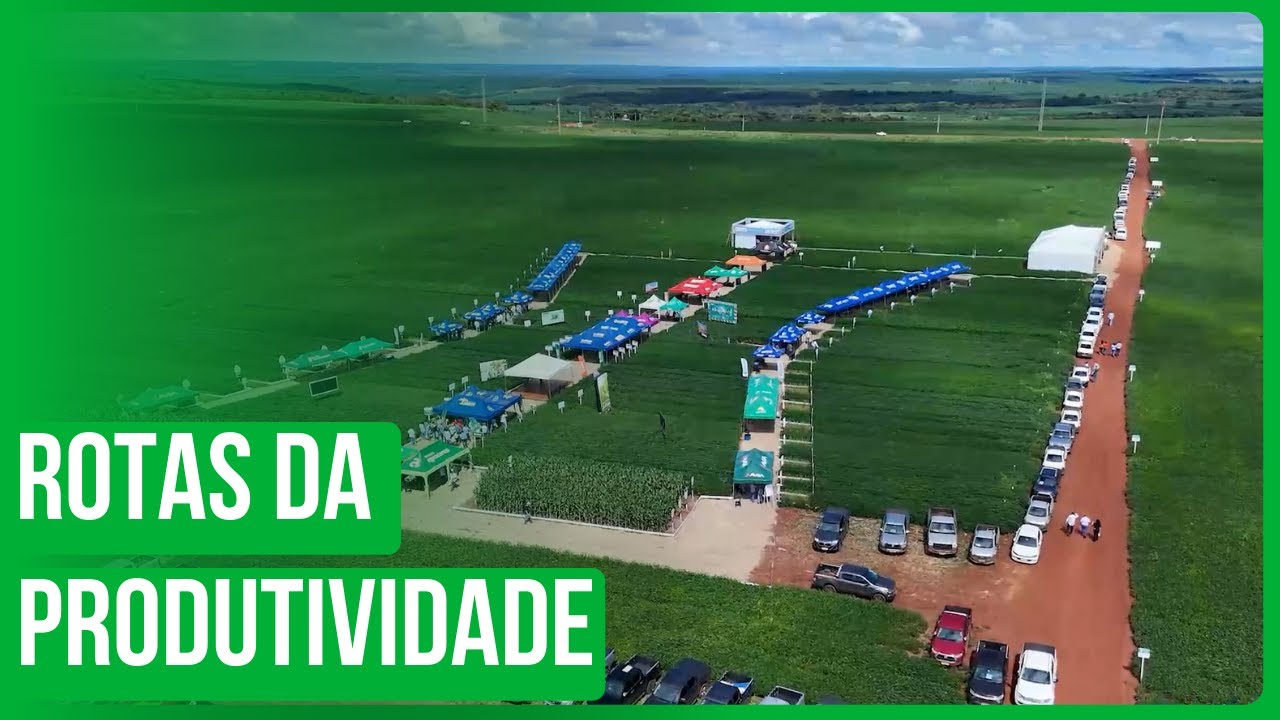 Agrotécnica Buriti: Rotas da Produtividade