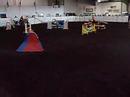 Johann's Comeback Agility Trial