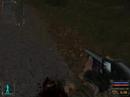 S.T.A.L.K.E.R - mess around in Cordon