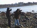 Wedding pics at English Bay