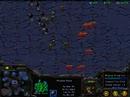 M.S.S)ToN vs V-FroLunda.cry Vod Starcraft Broodwar M.S.S