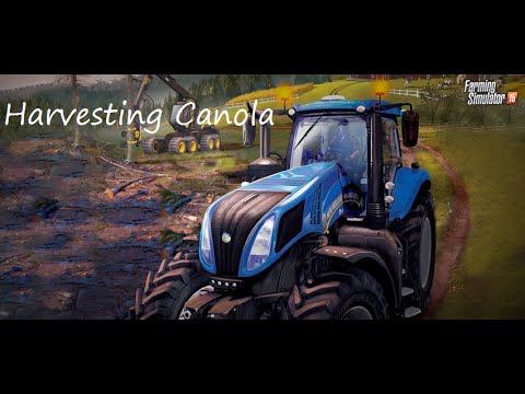 how to harvest canola in farming simulator 2015