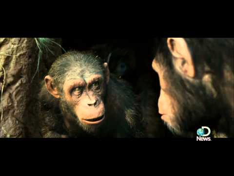 Rise of the Planet of the Apes - Playing a chimp is more than just dragging your knuckles, especially if the primate is leading a revolution. Actor Andy Serkis talks to Jorge Ribas about wha...