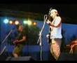 Tot-ln-nasazen-live-