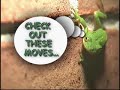 When Green Tree Frogs Attack!