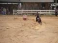 videos de Mr Veleiro ZD / Tres Tambores / Reg Oeste
