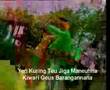 Sasak Rajamandala ( Asep Darso )
