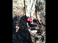 Farm Adventure #5