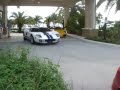 Exotics Arrive Ocean Reef