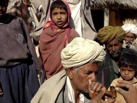 how to harvest opium for smoking