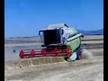 claas tucano 340