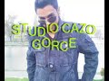ervin 2008 album 1-studio cazo gorce