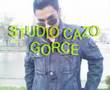 ervin 2008 album 1-studio cazo gorce