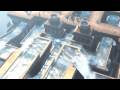 videos de Demigod - Monstorous Beasts Trailer HD