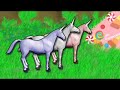 charlie-the-unicorn.html