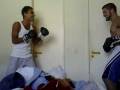 B-dog X D-dog: corredor