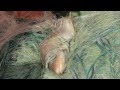 Click to View : F(r)isch vom Kutter auf den Tisch!