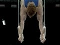 Ginnastica Artistica - Yuri Chechi - Mondiali Birmingham '93 - Oro Agli Anelli