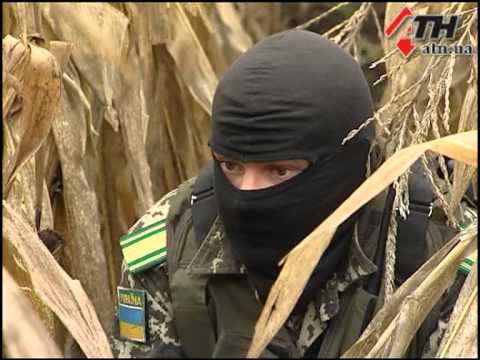 Смотреть видео