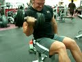 DB Seated Curls 65x8 DB Seated Curls 65x8