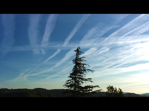 Bye Bye Blue Sky - Documentary by Patrick Pasin (English version - 30')
