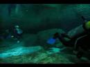 Cenote Dos Ojos
