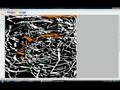 videos de Tapeta