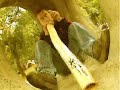 DIDGERIDOO october rust