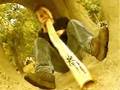 DIDGERIDOO october rust