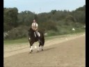 ana rovisco gandra - dressage