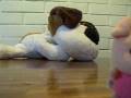 videos de stop-motion meli