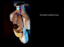 EMSA anti tobacco campaign EMSA anti tobacco campaign