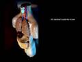 EMSA anti tobacco campaign