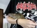 aske.wmv