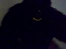 phil collins gorilla (boxing)