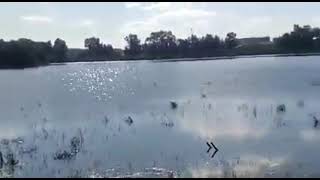 زيارة بركة عطا في قرية عرب النفيعات جنوب غربي حيفا