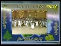 eritrea   tigrinya traditional music in asmara eritrea