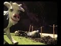bob-log-3.html