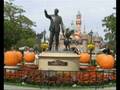 HALLOWEEN halloween