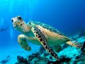 Bequia Slide Show Part 2
