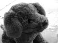 A Shout Out To WebkinzGirl108 A Shout Out To WebkinzGirl108