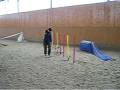 videos de Trapí, trénink agility na hvězdě zima 2006