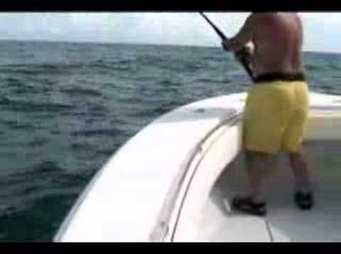 Hammerhead Shark